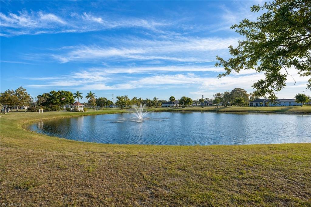 25324 Lychee CT photo 13