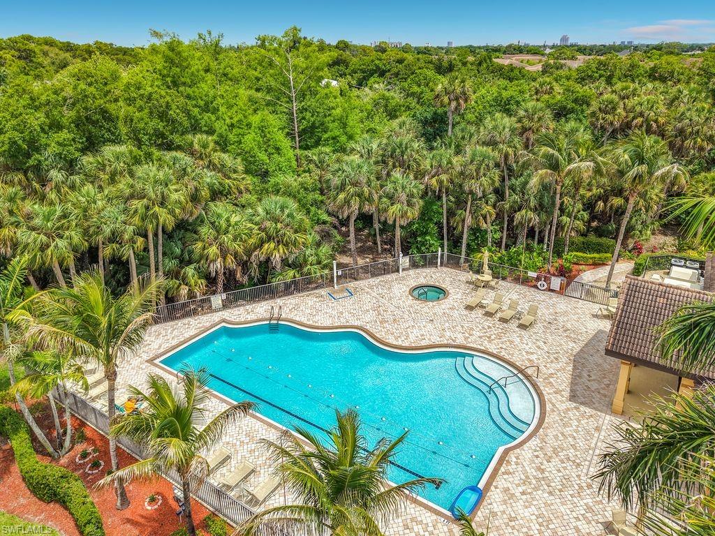 Resort-style pool with integrated spa and paver deck, surrounded by lush tropical landscaping