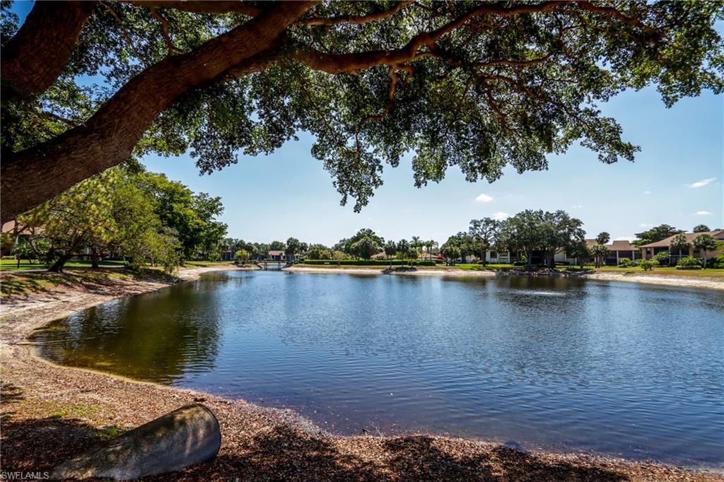 Water view