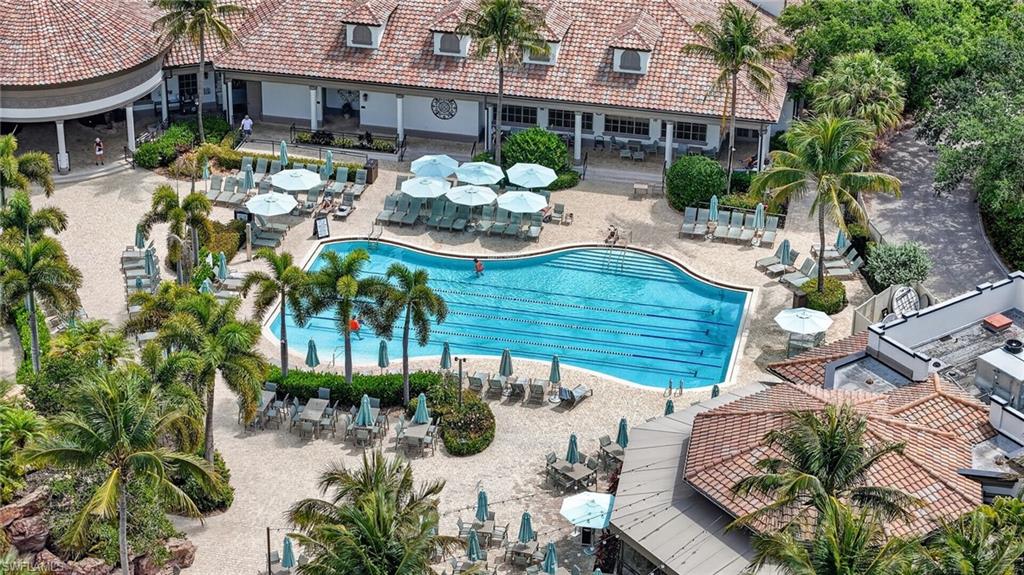 Players Club and Spa fitness pool area featuring a large swimming pool with lane markers, extensive lounge seating, mature palm trees, and umbrella-shaded dining areas near the fabulous Tiki Bar/Restaurant