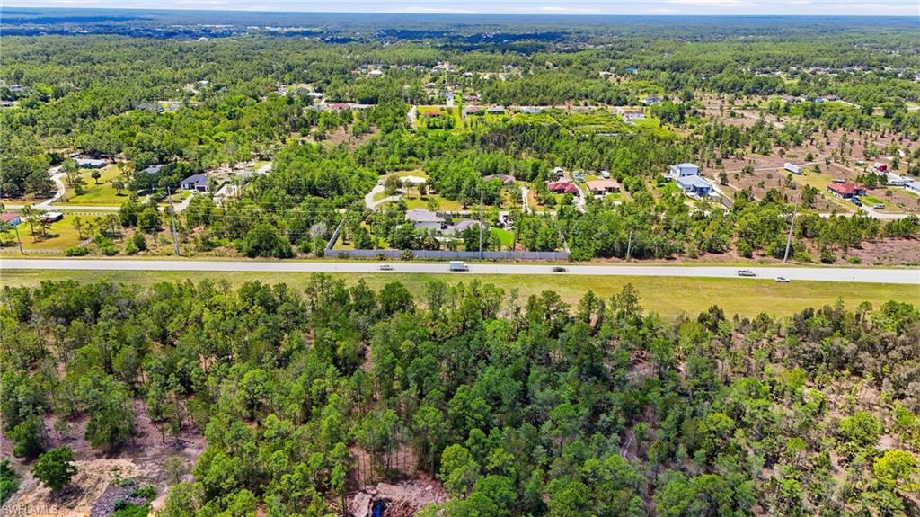 Expansive aerial perspective showcasing a verdant landscape with mature trees