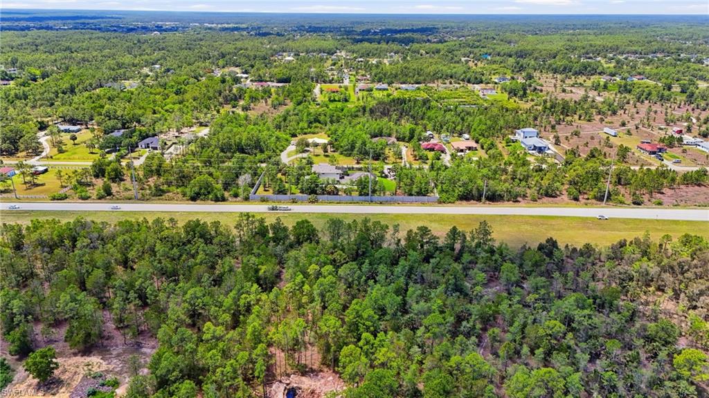 Expansive undeveloped land featuring dense tree coverage