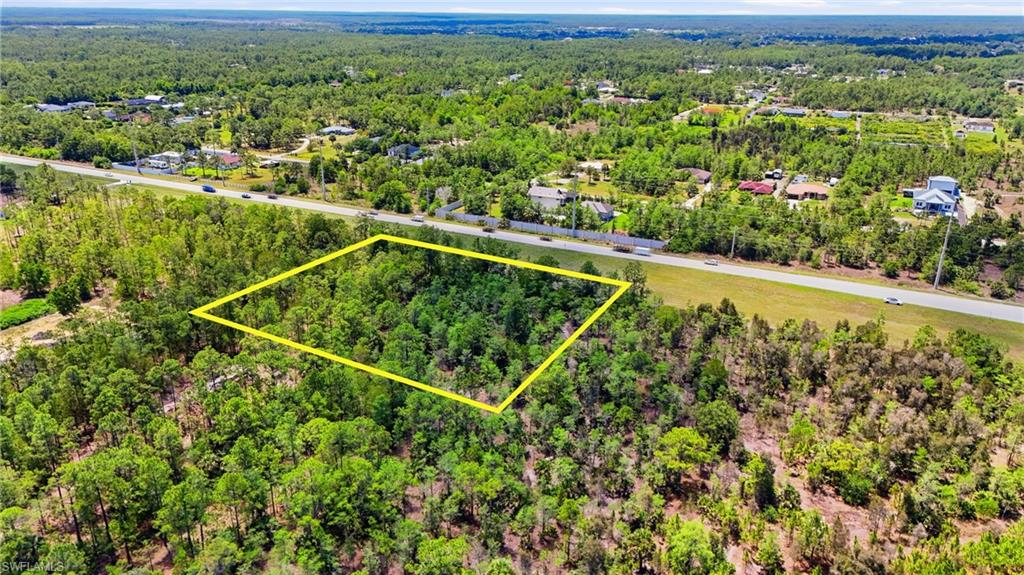 Expansive wooded parcel featuring mature trees, a clear boundary outline, and direct road frontage