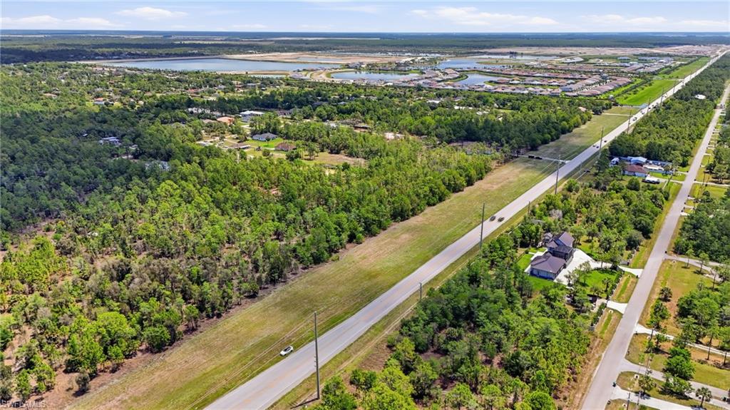 Expansive land parcel featuring dense tree coverage, a clear sky, and proximity to established roadways