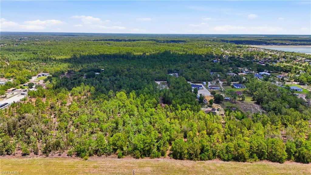 Expansive undeveloped land parcel featuring dense tree cover and a flat topography