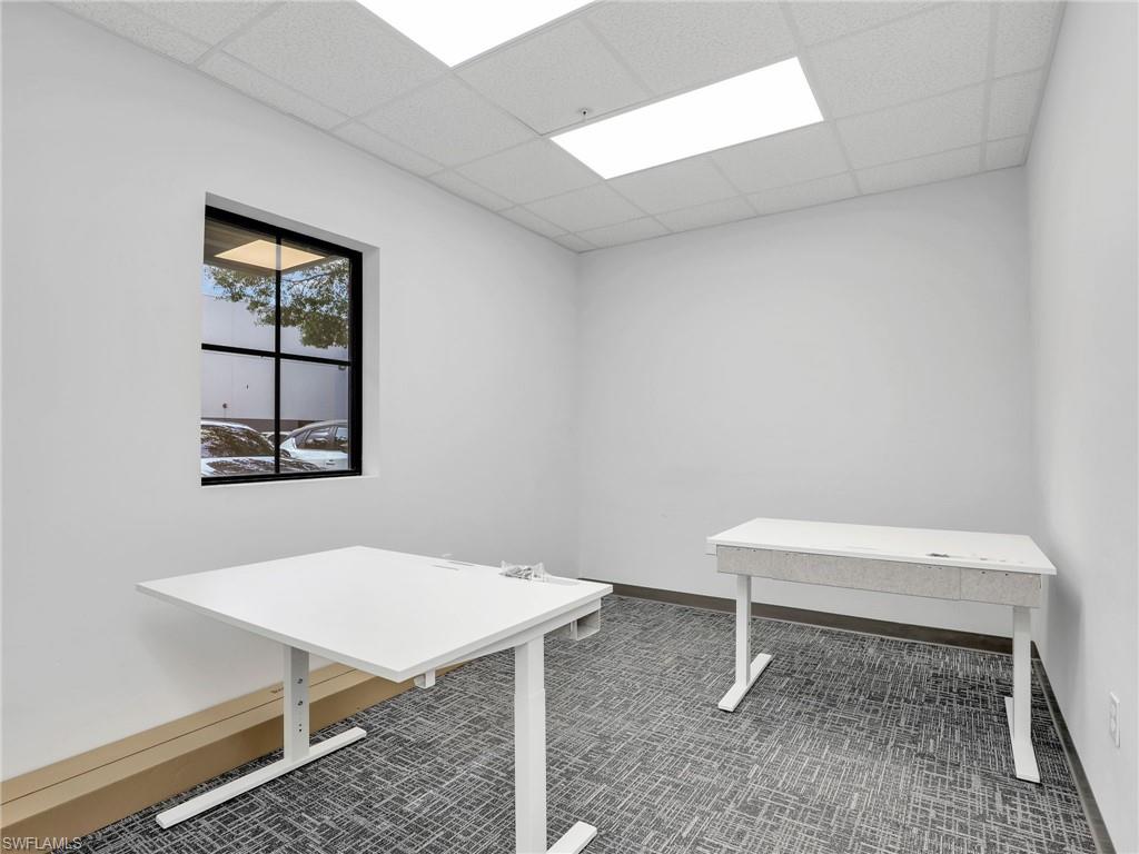 Bright interior office space featuring a single window with black grid panes, white painted walls, and gray patterned carpet flooring