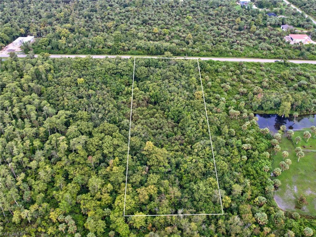 Expansive undeveloped lot featuring dense natural foliage and mature trees