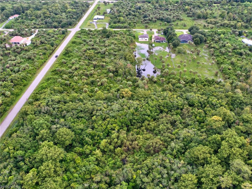 Expansive undeveloped land featuring a mixture of dense woodland and scattered palm trees