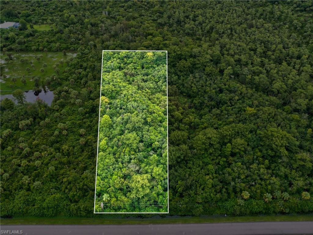 Rectangular parcel of undeveloped land, delineated by a white border