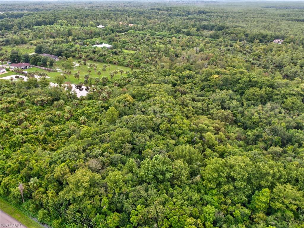 Expansive wooded acreage featuring dense tree coverage
