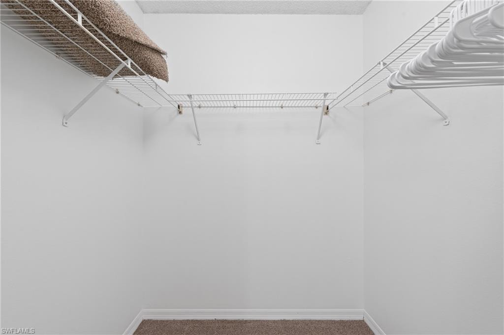 Spacious closet with carpet flooring