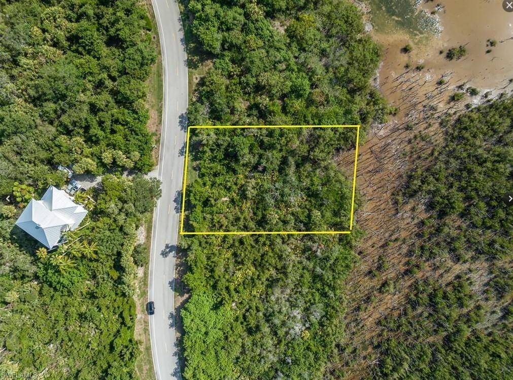 822 Whiskey Creek DR photo 13