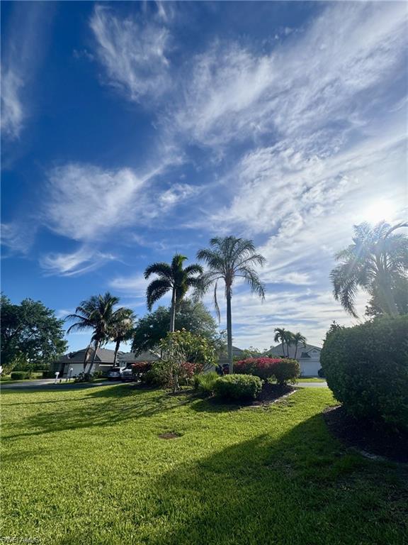Side yard with lush landscaping