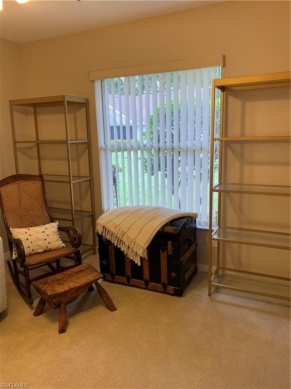 Light and bright home office