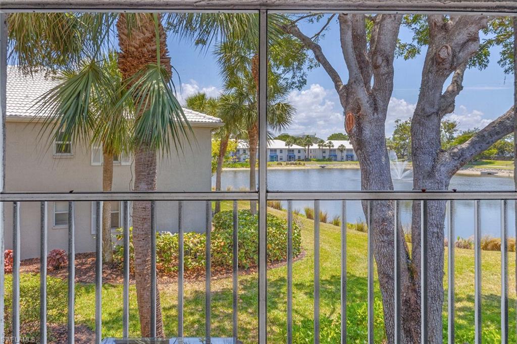 View from Screened Patio