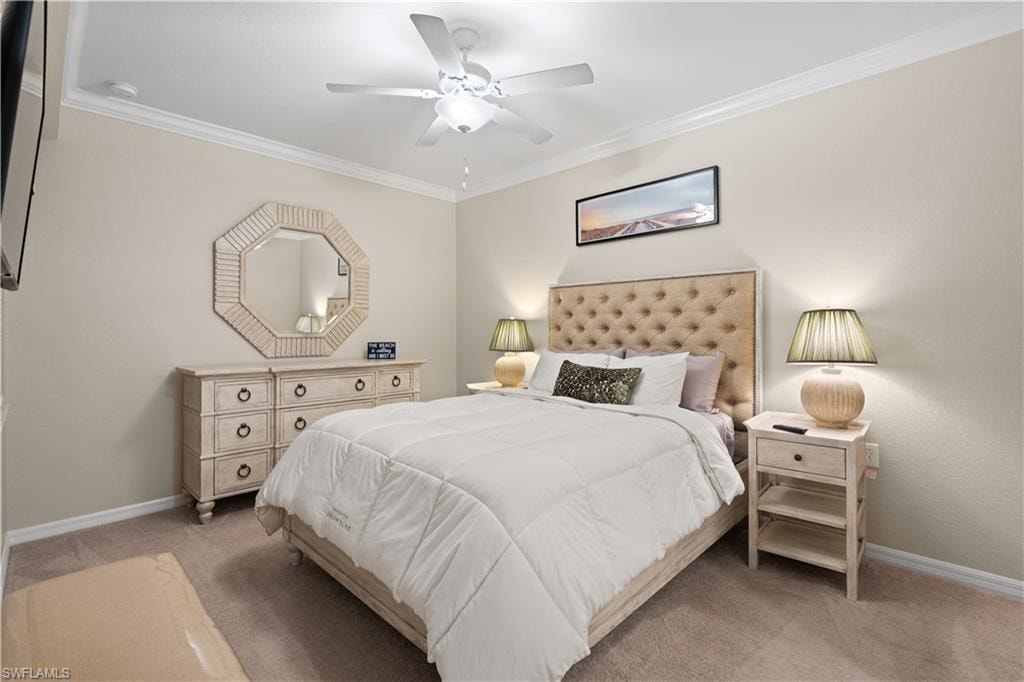 9596 Trevi CT 5422 photo 13
