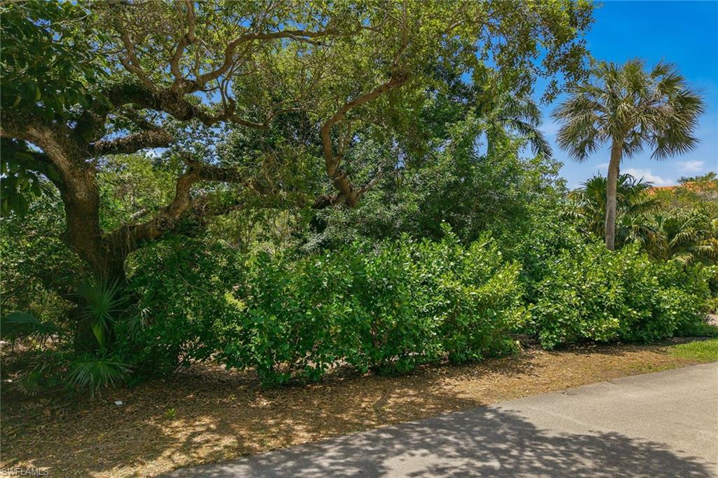 375 Gumbo Limbo LN photo 24