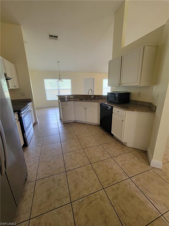 8071 Liriope LOOP