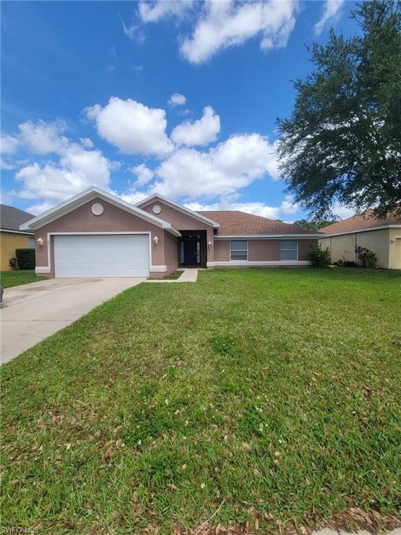 8071 Liriope LOOP