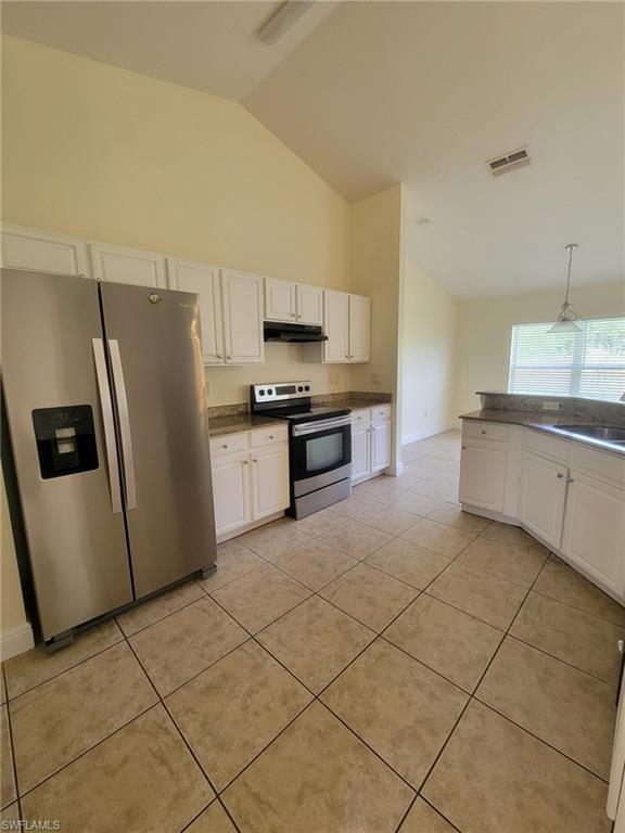 8071 Liriope LOOP
