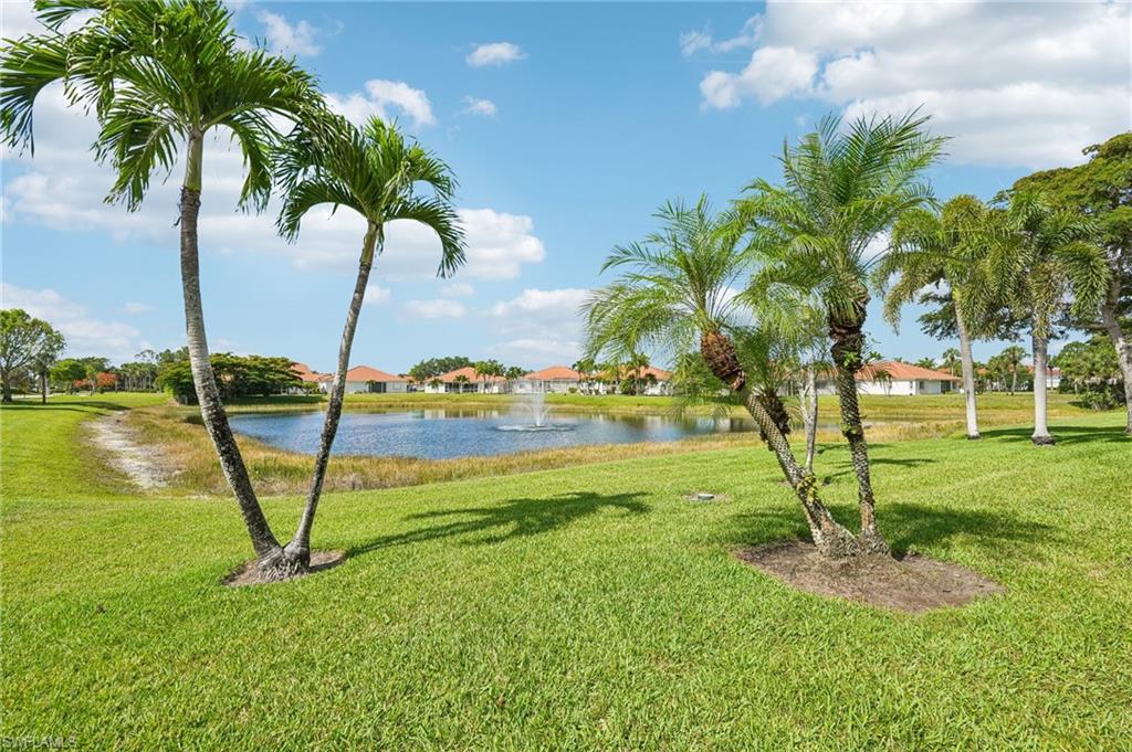 7895 Sanctuary CIR 117-1 photo 44