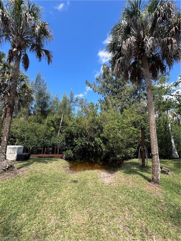 Expansive outdoor space featuring a grass lawn and mature palm trees