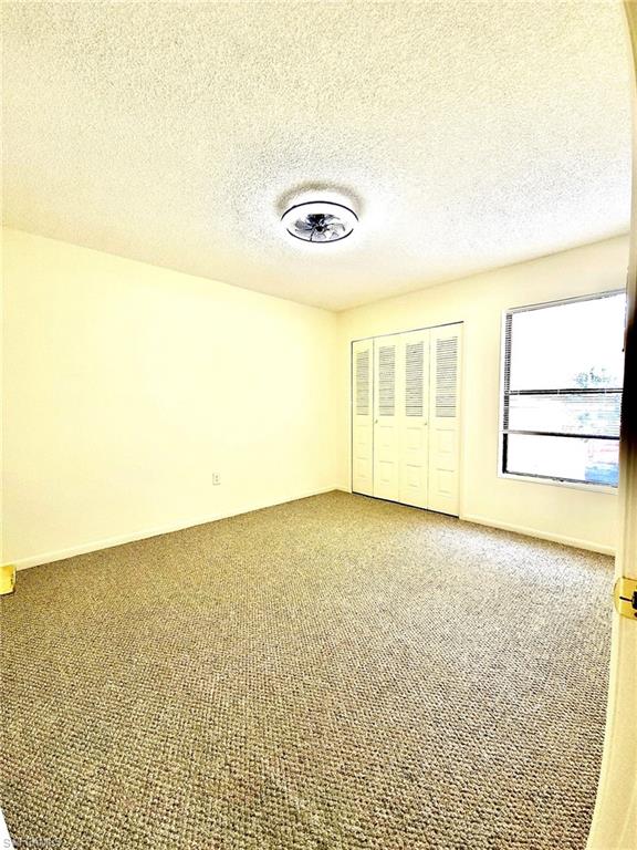 Bright interior space featuring textured wall-to-wall carpeting and a ceiling-mounted light fixture