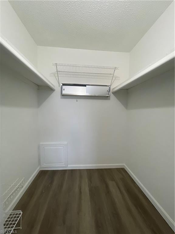 Wak in closet