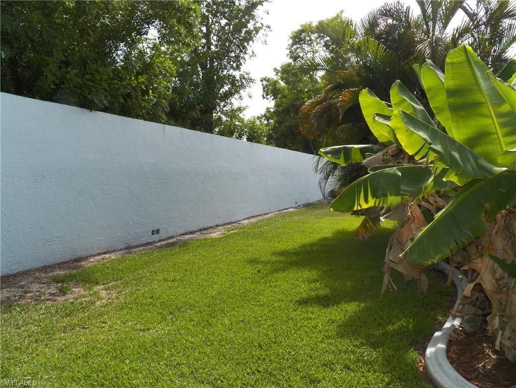 Privacy wall in backyard
