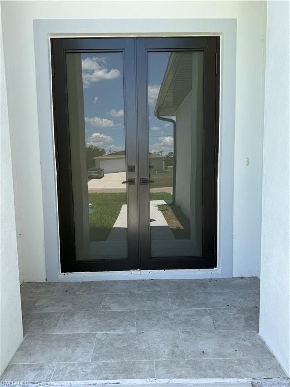 Double glass entry doors with dark frames