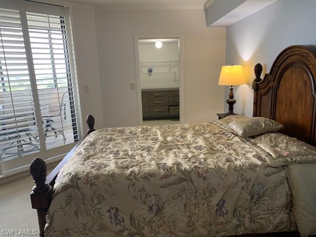 Carpeted bedroom with a walk in closet and a closet