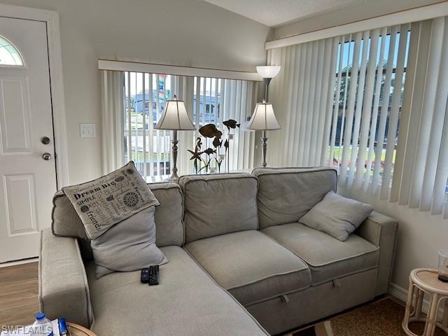 lIVING ROOM WITH LAMINATE FLOORING LIGHT AND BRIGHT