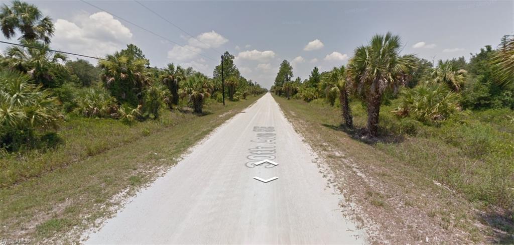 Unpaved road extending into the distance, flanked by dense natural vegetation, including palm trees and various shrubs