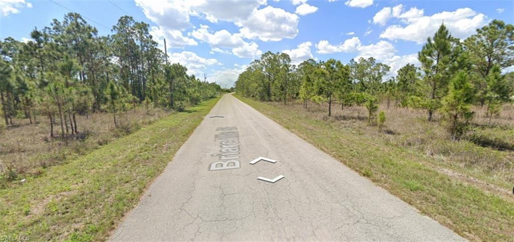 Paved road frontage with mature pine trees and natural vegetation