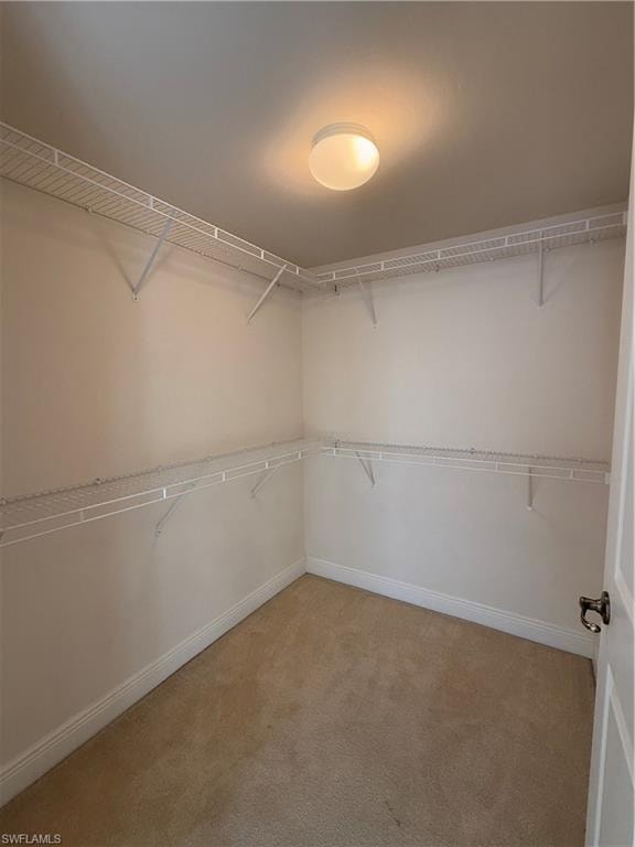 3969 Pomodoro CIR 203 photo 9