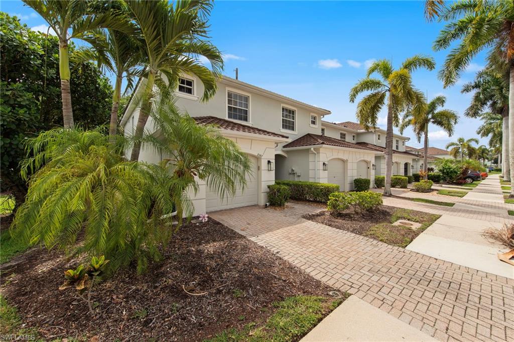 8587 Athena CT