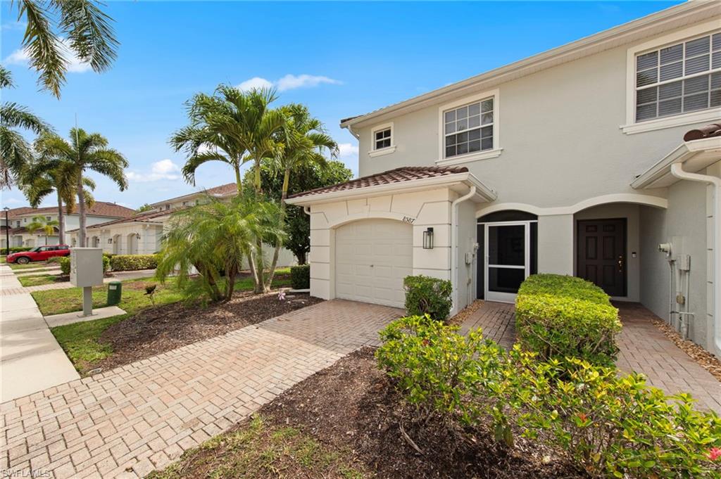 8587 Athena CT