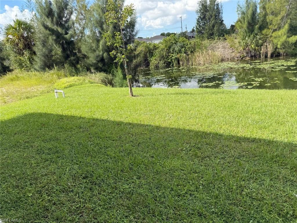 Expansive grass lawn with a singular tree