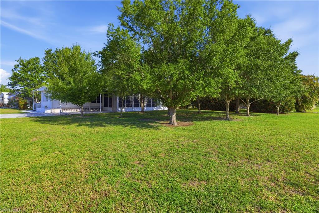 Spacious front yard with mature trees and a manicured lawn