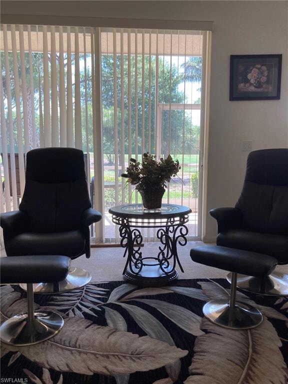 Living area with carpet