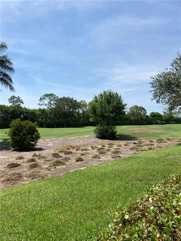 View of green lawn