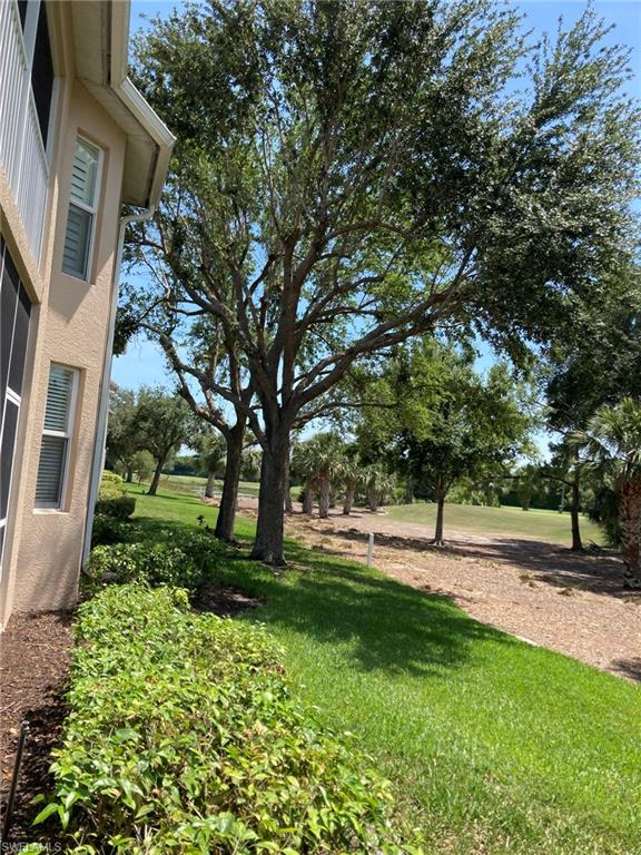 View of grassy yard