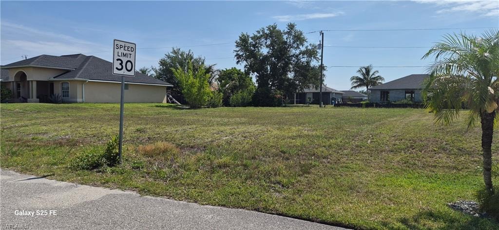 Expansive vacant land featuring a grassed surface and mature palm trees