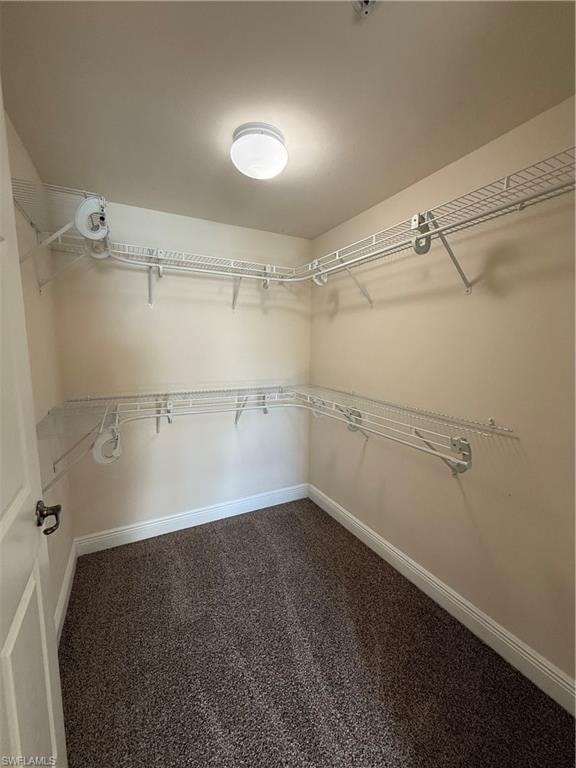 3973 Pomodoro CIR 304 photo 9