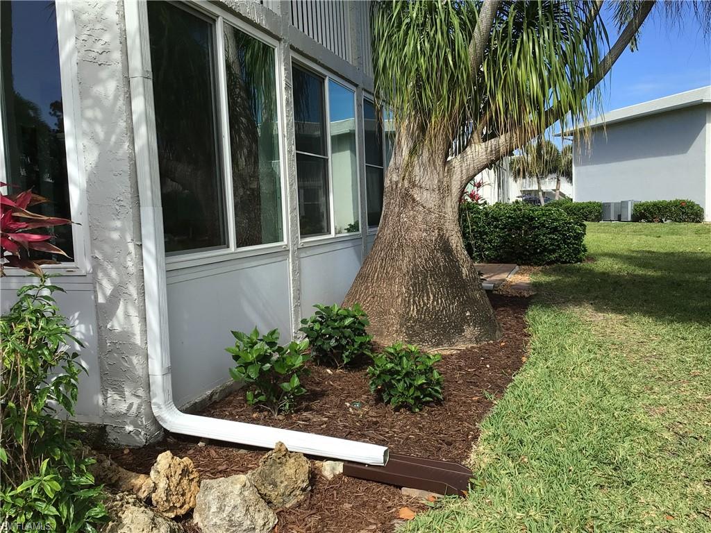 Landscaped back yard