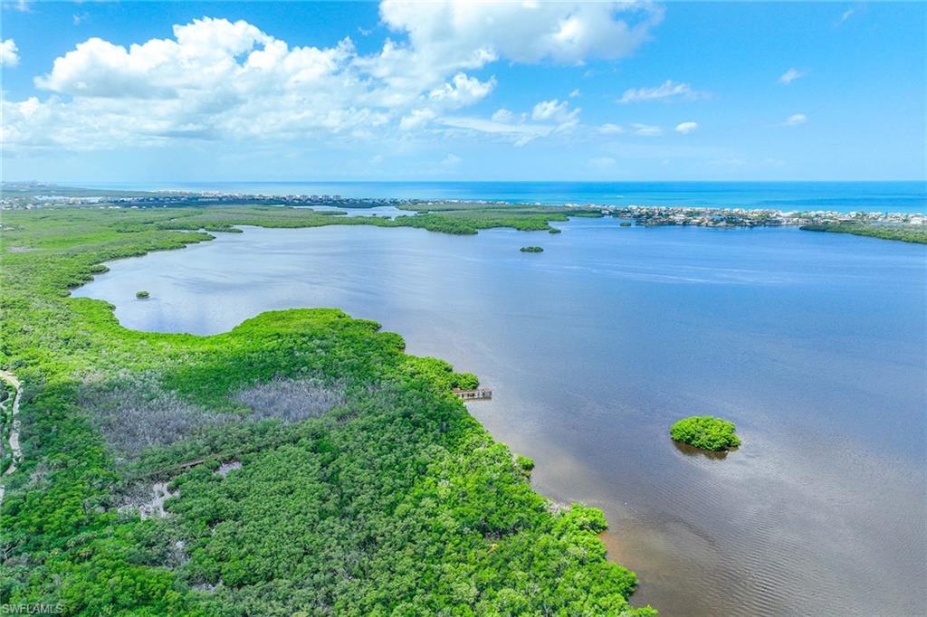 4951 Bonita Bay BLVD 604 photo 39