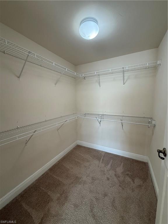 3973 Pomodoro CIR 303 photo 6