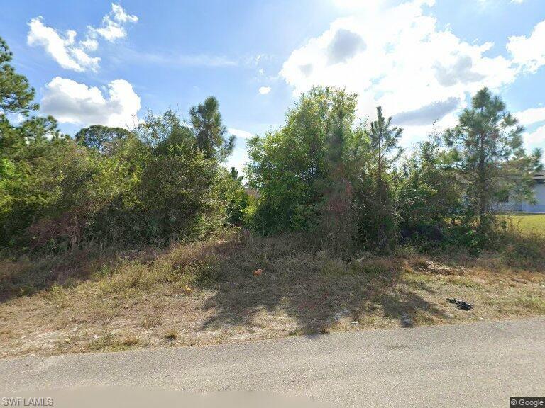Expansive lot with natural tree coverage and undeveloped ground cover