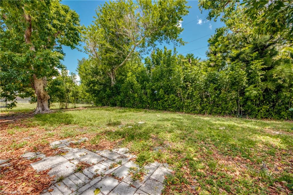 Back Yard