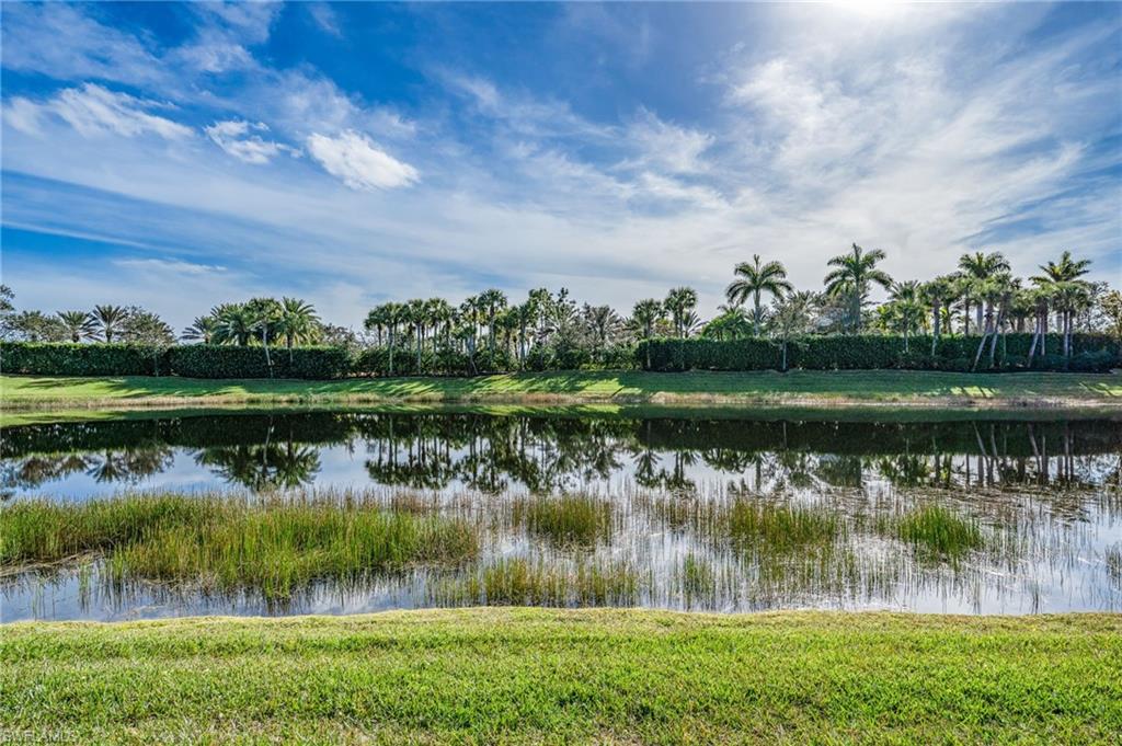 11546 Meadowrun CIR photo 31